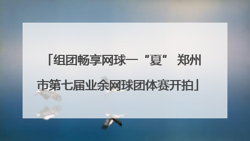 组团畅享网球一“夏” 郑州市第七届业余网球团体赛开拍