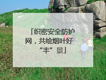 织密安全防护网，共绘烟叶好“丰”景