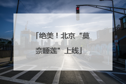 绝美！北京“莫奈睡莲”上线