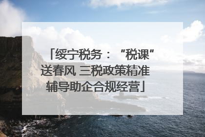 绥宁税务：“税课”送春风 三税政策精准辅导助企合规经营