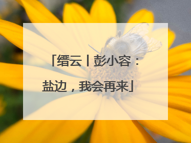 缙云丨彭小容：盐边，我会再来