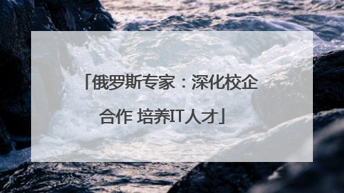 俄罗斯专家：深化校企合作 培养IT人才