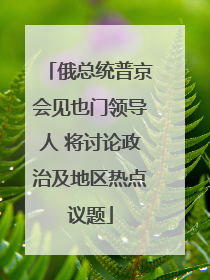 俄总统普京会见也门领导人 将讨论政治及地区热点议题