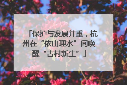 保护与发展并重，杭州在“依山理水”间唤醒“古村新生”