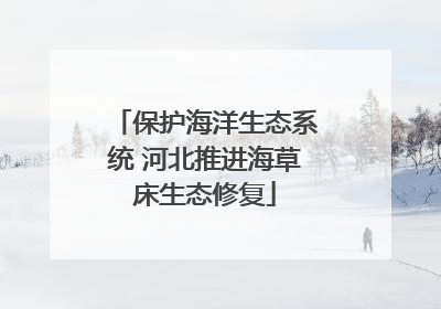 保护海洋生态系统 河北推进海草床生态修复