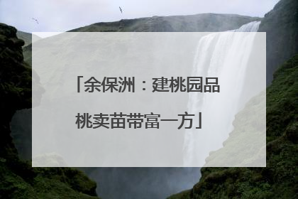 余保洲：建桃园品桃卖苗带富一方