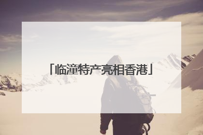 临潼特产亮相香港
