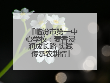 临汾市第一中心学校：麦香浸润成长路 实践传承农耕情