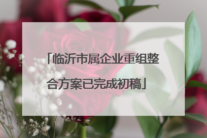 临沂市属企业重组整合方案已完成初稿