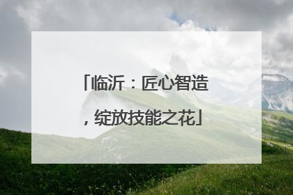 临沂：匠心智造，绽放技能之花