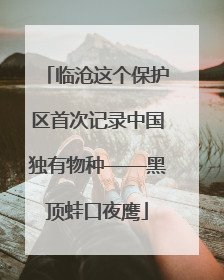 临沧这个保护区首次记录中国独有物种——黑顶蛙口夜鹰