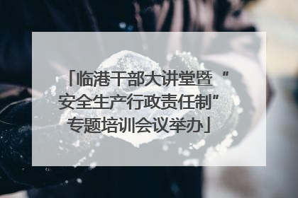 临港干部大讲堂暨“安全生产行政责任制”专题培训会议举办