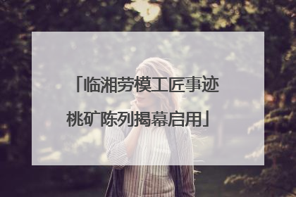 临湘劳模工匠事迹桃矿陈列揭幕启用