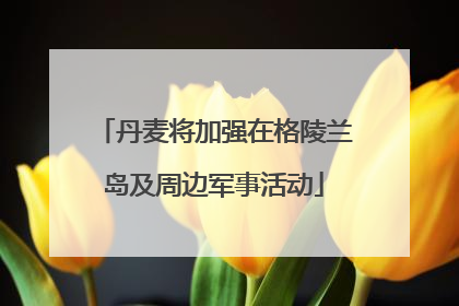 丹麦将加强在格陵兰岛及周边军事活动