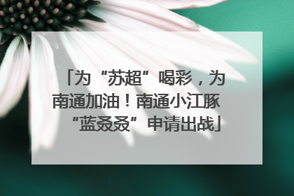为“苏超”喝彩，为南通加油！南通小江豚“蓝叒叒”申请出战
