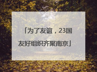 为了友谊，23国友好组织齐聚南京