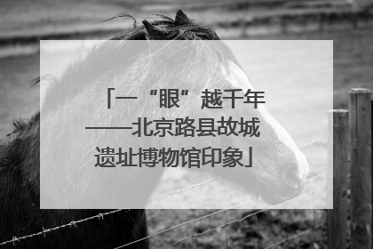 一“眼”越千年——北京路县故城遗址博物馆印象