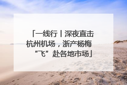 一线行丨深夜直击杭州机场，浙产杨梅“飞”赴各地市场