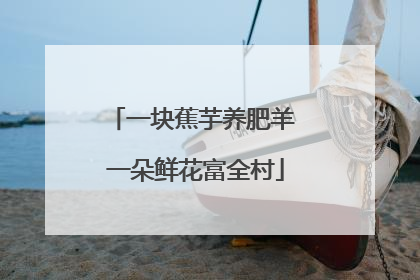一块蕉芋养肥羊 一朵鲜花富全村