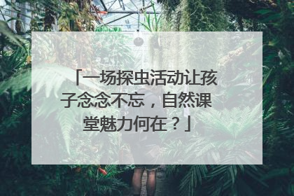 一场探虫活动让孩子念念不忘，自然课堂魅力何在？