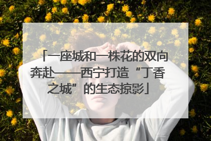 一座城和一株花的双向奔赴——西宁打造“丁香之城”的生态掠影