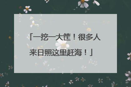一挖一大筐！很多人来日照这里赶海！