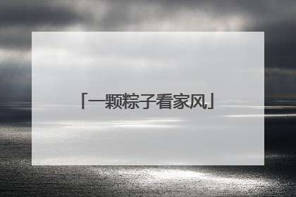 一颗粽子看家风