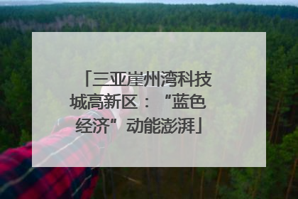 三亚崖州湾科技城高新区：“蓝色经济”动能澎湃