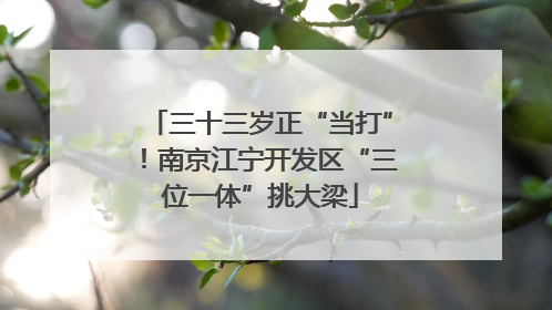 三十三岁正“当打”！南京江宁开发区“三位一体”挑大梁