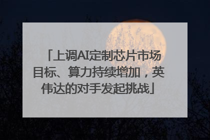 上调AI定制芯片市场目标、算力持续增加，英伟达的对手发起挑战