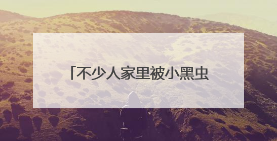 不少人家里被小黑虫“入侵”，墙壁窗户全部爬满！一到晚上更严重，还有一股臭味
