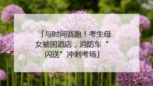 与时间赛跑！考生母女被困酒店，消防车“闪送”冲刺考场