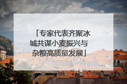 专家代表齐聚冰城共谋小麦振兴与杂粮高质量发展