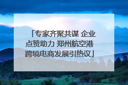 专家齐聚共谋 企业点赞助力 郑州航空港跨境电商发展引热议