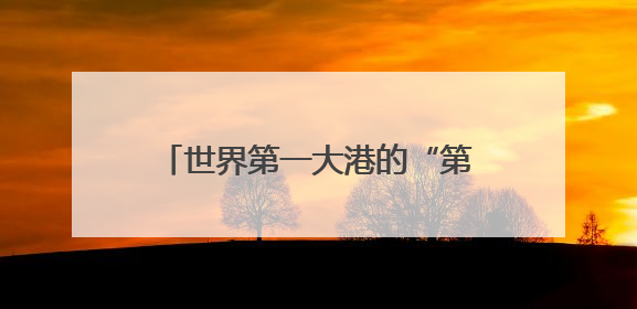 世界第一大港的“第六港区”有多“6”？记者直击开港现场
