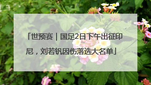 世预赛｜国足2日下午出征印尼，刘若钒因伤落选大名单