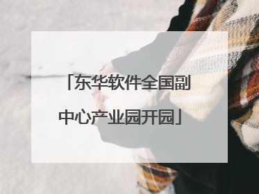 东华软件全国副中心产业园开园