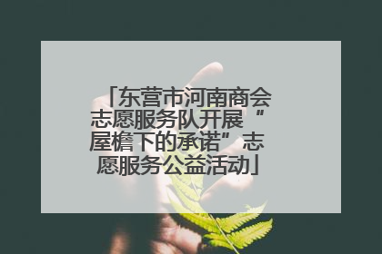 东营市河南商会志愿服务队开展“屋檐下的承诺”志愿服务公益活动