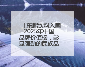 东鹏饮料入围2025年中国品牌价值榜，彰显强劲的民族品牌生命力