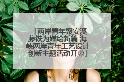 两岸青年聚安溪 藤铁为媒绘新篇 海峡两岸青年工艺设计创新主题活动开幕