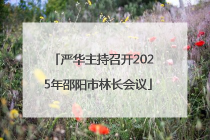 严华主持召开2025年邵阳市林长会议