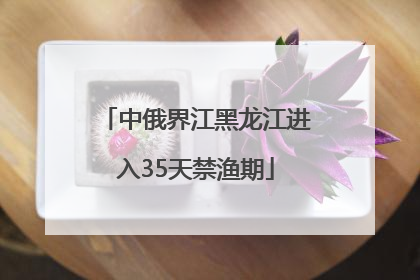 中俄界江黑龙江进入35天禁渔期