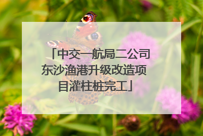 中交一航局二公司东沙渔港升级改造项目灌柱桩完工