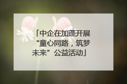 中企在加蓬开展“童心同路，筑梦未来”公益活动