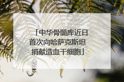 中华骨髓库近日首次向哈萨克斯坦捐献造血干细胞