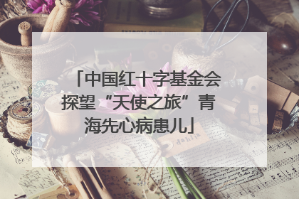 中国红十字基金会探望“天使之旅”青海先心病患儿