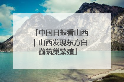 中国日报看山西｜山西发现东方白鹳筑巢繁殖