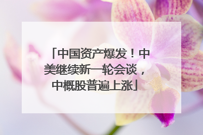 中国资产爆发！中美继续新一轮会谈，中概股普遍上涨