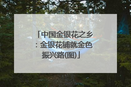 中国金银花之乡：金银花铺就金色振兴路(图)