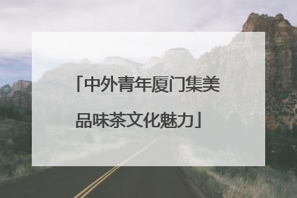 中外青年厦门集美品味茶文化魅力